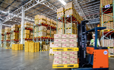 Packers and Movers in Rohini